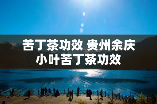 苦丁茶功效 贵州余庆小叶苦丁茶功效