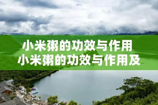 小米粥的功效与作用 小米粥的功效与作用及食用方法