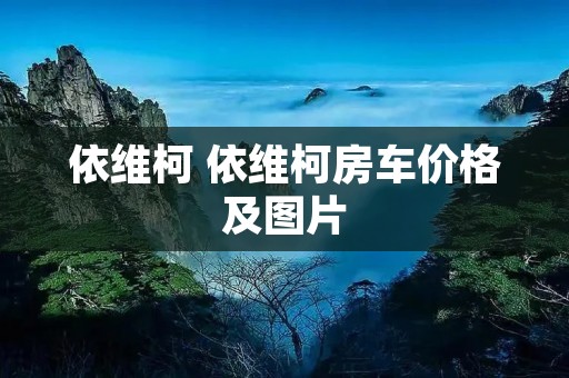 依维柯 依维柯房车价格及图片 依维柯 依维柯房车价格及图片