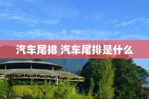 汽车尾排 汽车尾排是什么