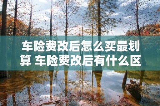 车险费改后怎么买最划算 车险费改后有什么区别