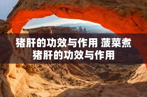 猪肝的功效与作用 菠菜煮猪肝的功效与作用