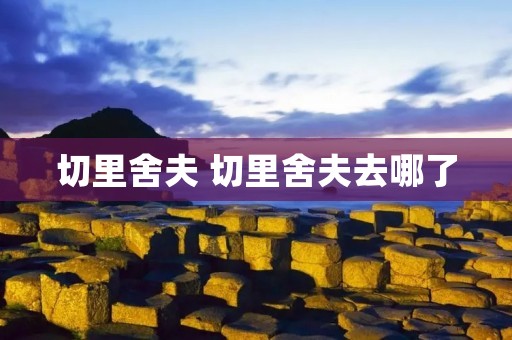 切里舍夫 切里舍夫去哪了