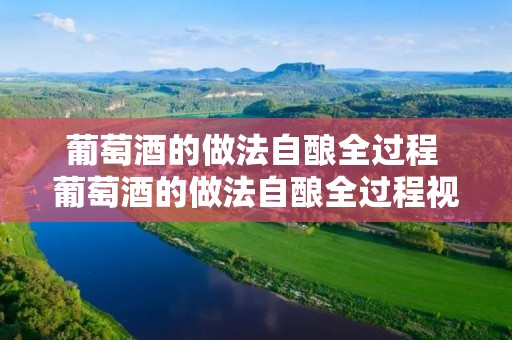 葡萄酒的做法自酿全过程 葡萄酒的做法自酿全过程视频