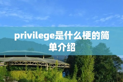 privilege是什么梗的简单介绍 privilege是什么梗的简单介绍