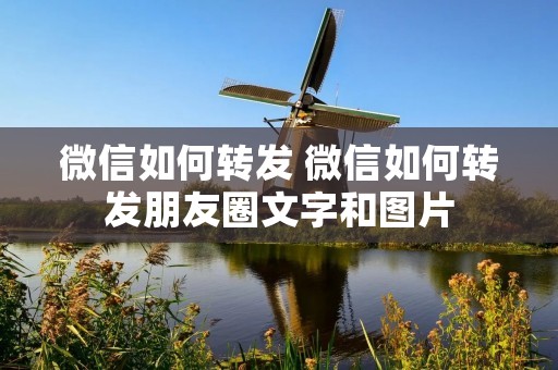 微信如何转发 微信如何转发朋友圈文字和图片
