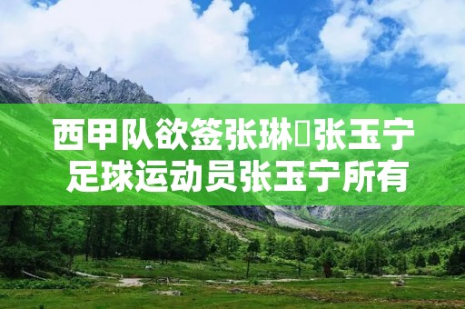 西甲队欲签张琳芃张玉宁 足球运动员张玉宁所有进球视频 西甲队欲签张琳芃张玉宁 足球运动员张玉宁所有进球视频