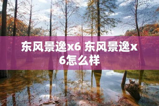 东风景逸x6 东风景逸x6怎么样