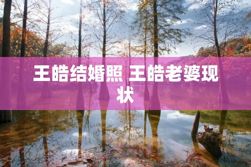 王皓结婚照 王皓老婆现状