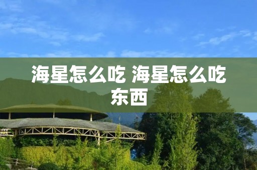 海星怎么吃 海星怎么吃东西