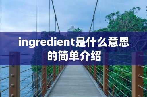 ingredient是什么意思的简单介绍