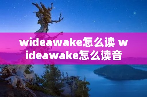 wideawake怎么读 wideawake怎么读音
