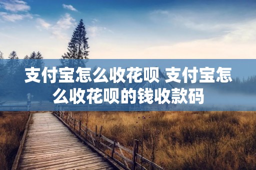 支付宝怎么收花呗 支付宝怎么收花呗的钱收款码