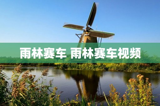雨林赛车 雨林赛车视频 雨林赛车 雨林赛车视频