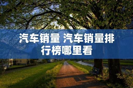 汽车销量 汽车销量排行榜哪里看