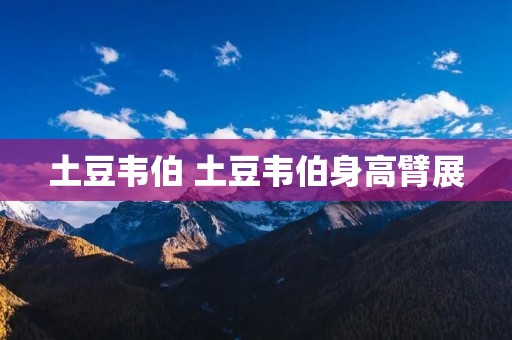 土豆韦伯 土豆韦伯身高臂展