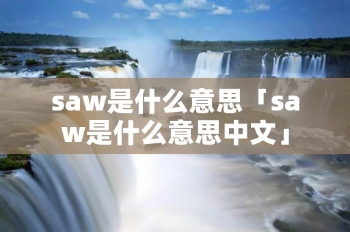 saw是什么意思「saw是什么意思中文」