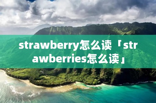 strawberry怎么读「strawberries怎么读」