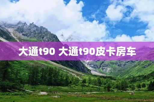 大通t90 大通t90皮卡房车 大通t90 大通t90皮卡房车