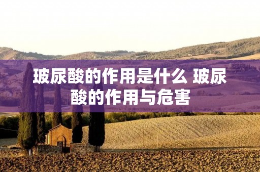 玻尿酸的作用是什么 玻尿酸的作用与危害