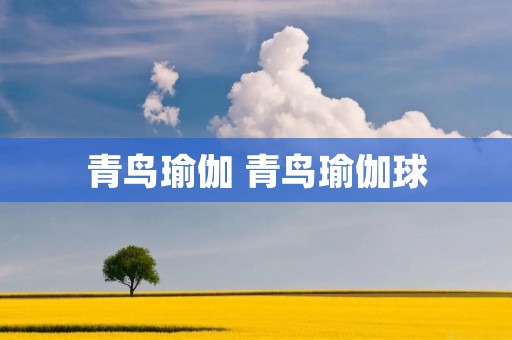 青鸟瑜伽 青鸟瑜伽球