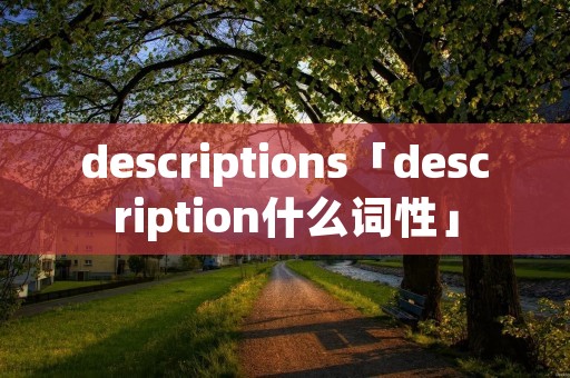 descriptions「description什么词性」 descriptions「description什么词性」