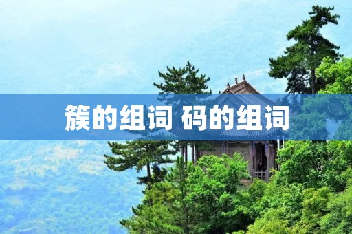 簇的组词 码的组词