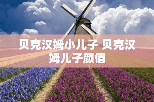 贝克汉姆小儿子 贝克汉姆儿子颜值