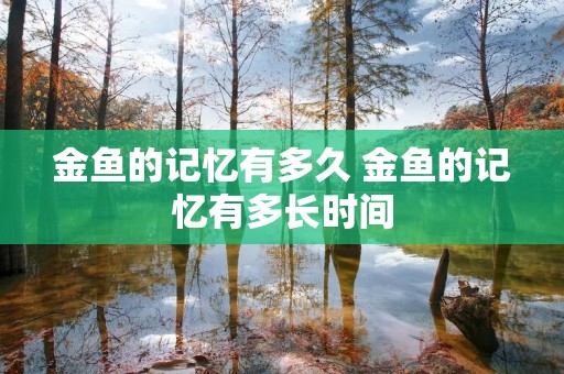 金鱼的记忆有多久 金鱼的记忆有多长时间