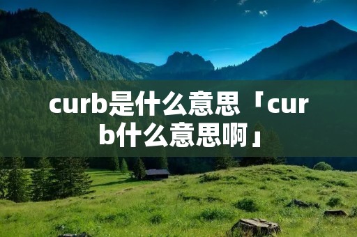 curb是什么意思「curb什么意思啊」