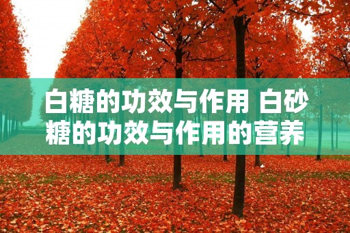 白糖的功效与作用 白砂糖的功效与作用的营养