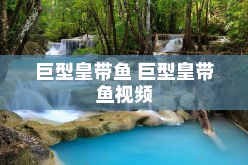巨型皇带鱼 巨型皇带鱼视频 巨型皇带鱼 巨型皇带鱼视频