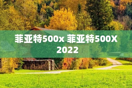 菲亚特500x 菲亚特500X 2022