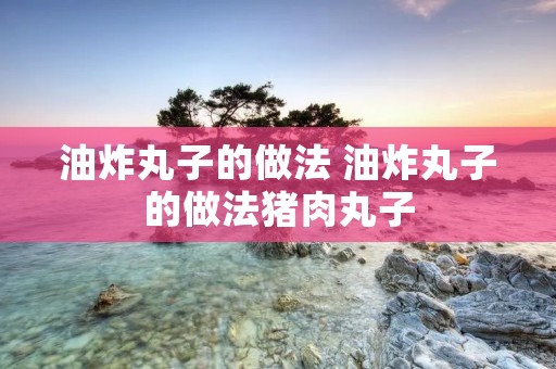 油炸丸子的做法 油炸丸子的做法猪肉丸子 油炸丸子的做法 油炸丸子的做法猪肉丸子