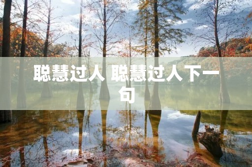 聪慧过人 聪慧过人下一句
