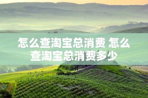 怎么查淘宝总消费 怎么查淘宝总消费多少