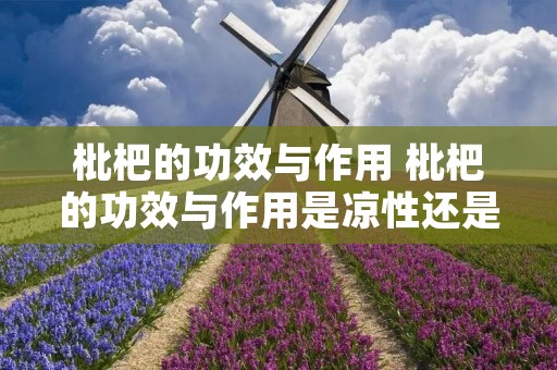枇杷的功效与作用 枇杷的功效与作用是凉性还是热性