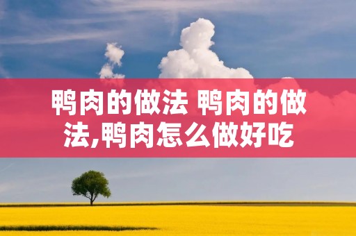 鸭肉的做法 鸭肉的做法,鸭肉怎么做好吃
