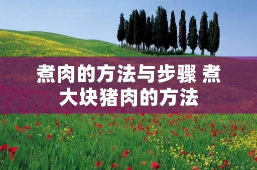 煮肉的方法与步骤 煮大块猪肉的方法