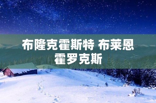 布隆克霍斯特 布莱恩霍罗克斯 布隆克霍斯特 布莱恩霍罗克斯