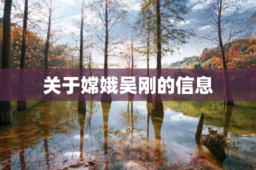 关于嫦娥吴刚的信息 关于嫦娥吴刚的信息