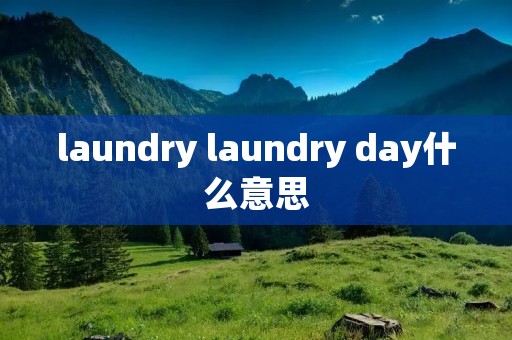 laundry laundry day什么意思