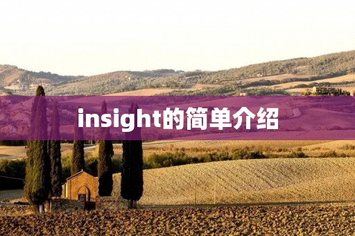 insight的简单介绍 insight的简单介绍