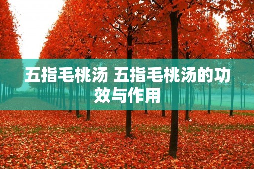 五指毛桃汤 五指毛桃汤的功效与作用