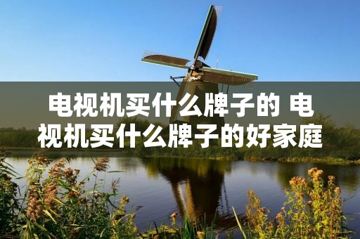电视机买什么牌子的 电视机买什么牌子的好家庭用 电视机买什么牌子的 电视机买什么牌子的好家庭用