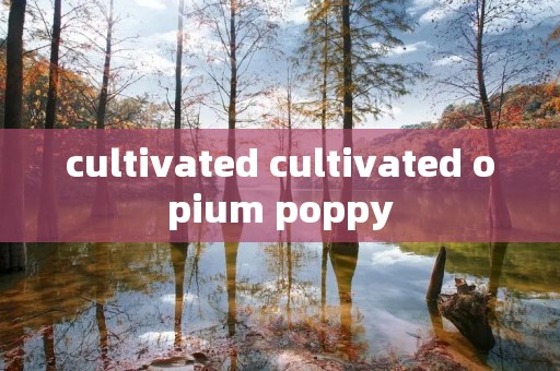 cultivated cultivated opium poppy