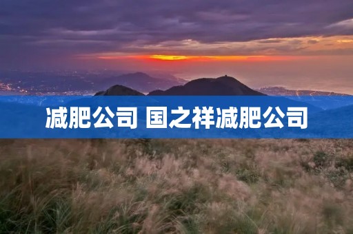 减肥公司 国之祥减肥公司