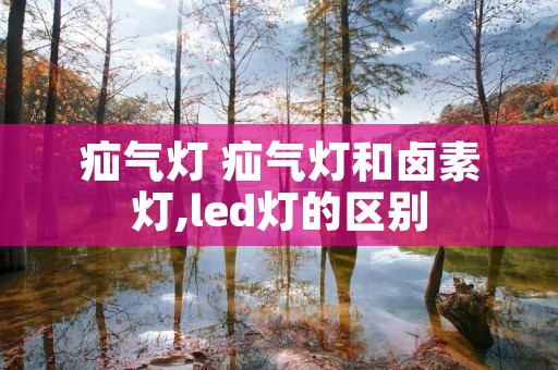 疝气灯 疝气灯和卤素灯,led灯的区别