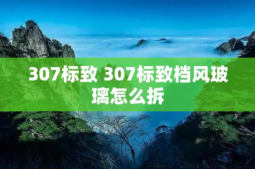 307标致 307标致档风玻璃怎么拆 307标致 307标致档风玻璃怎么拆