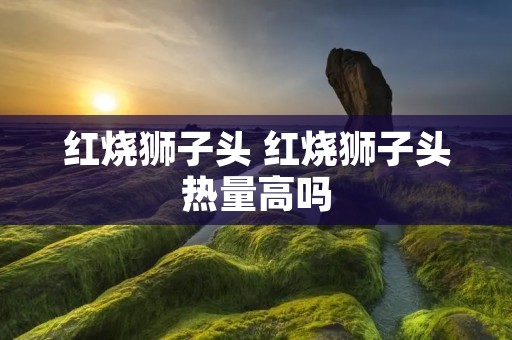 红烧狮子头 红烧狮子头热量高吗